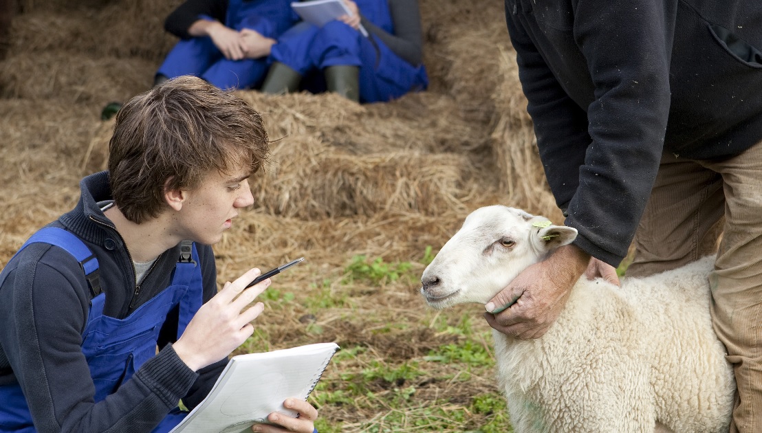 The NFU Mutual Charitable Trust is offering its ‘Centenary Award’ for postgraduate agricultural students (masters and PhD)