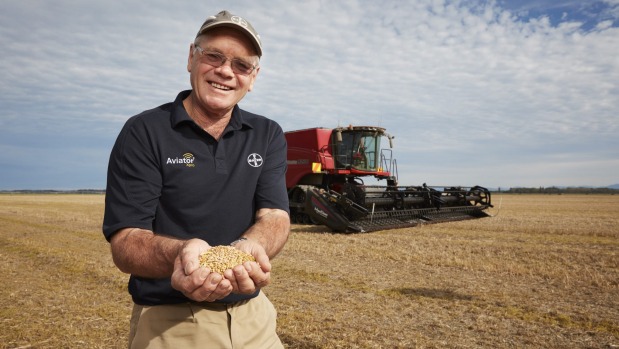 New Zealand arable farmer Eric Watson has broken the world wheat growing record