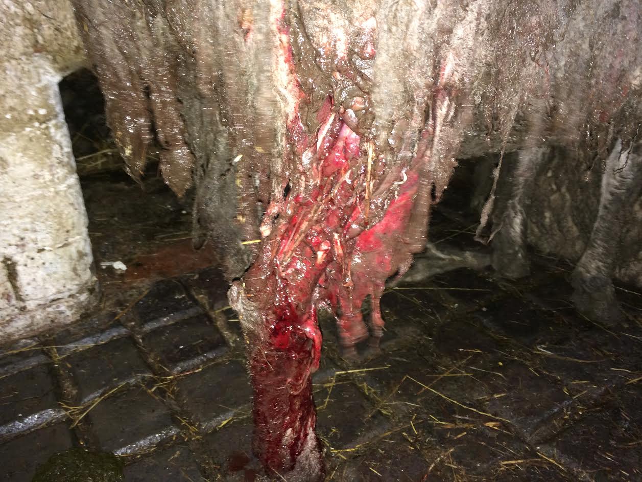 The NFU said it is 'shocked and saddened' about the incident