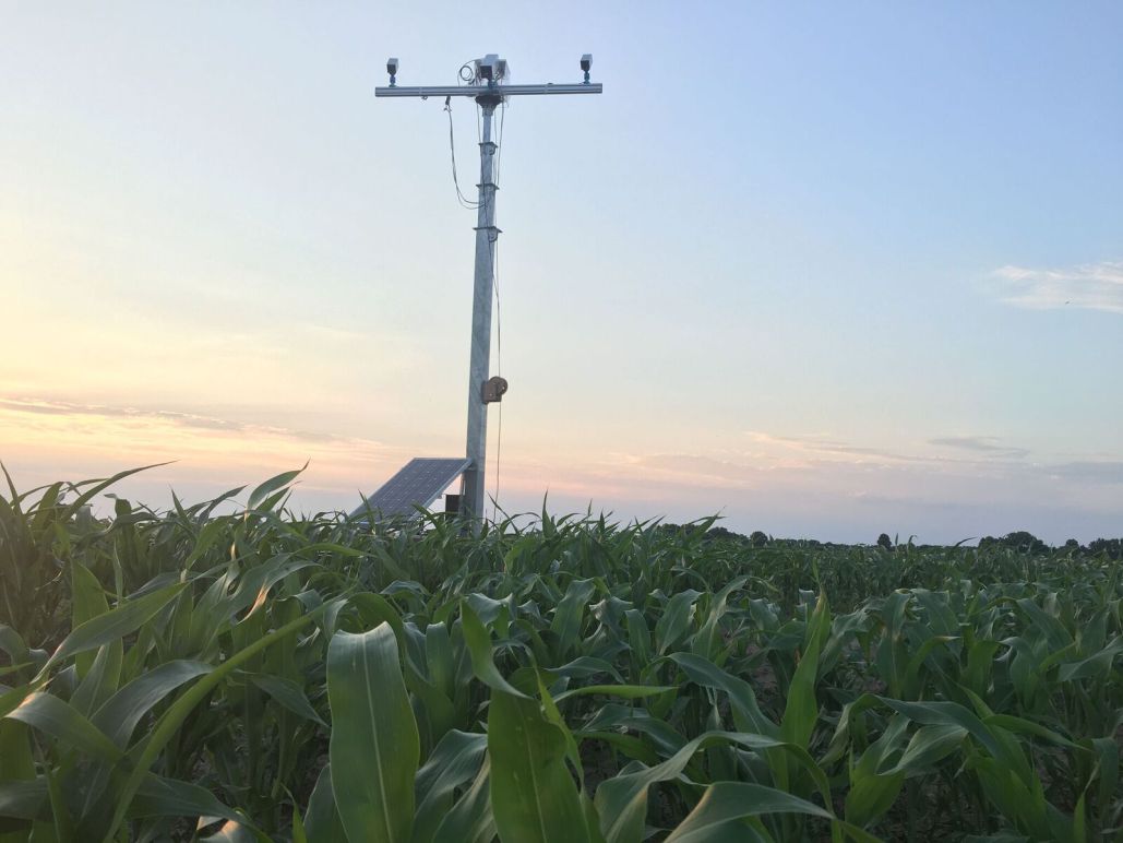 A mobile tower stands watch at the edge of the crop