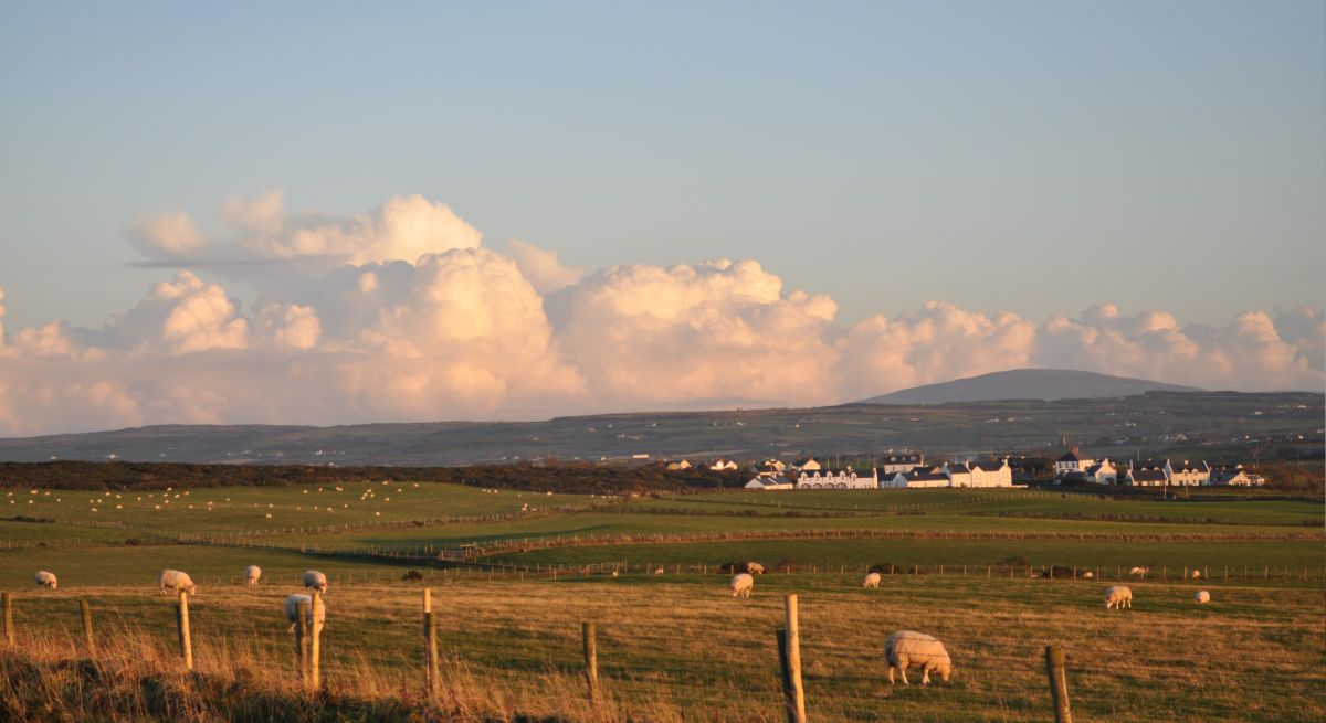 Crown Estate should be retained as one entity, say agricultural tenants