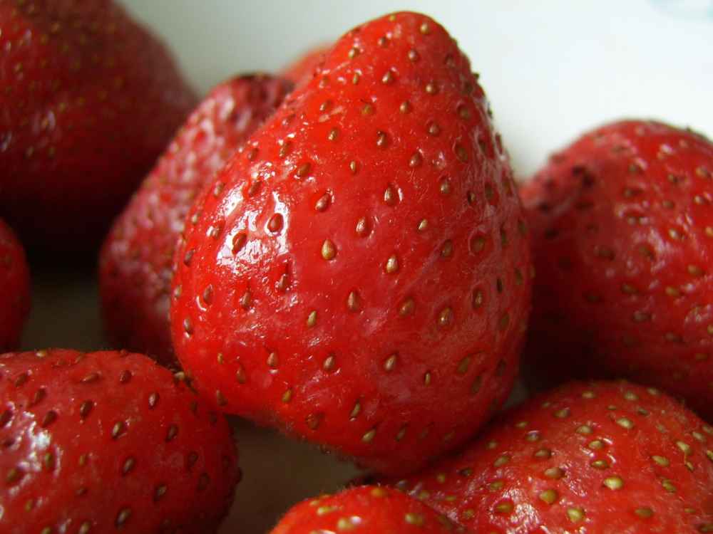 ‘Shark’ to control weeds in strawberries (Photo: Shizhao)