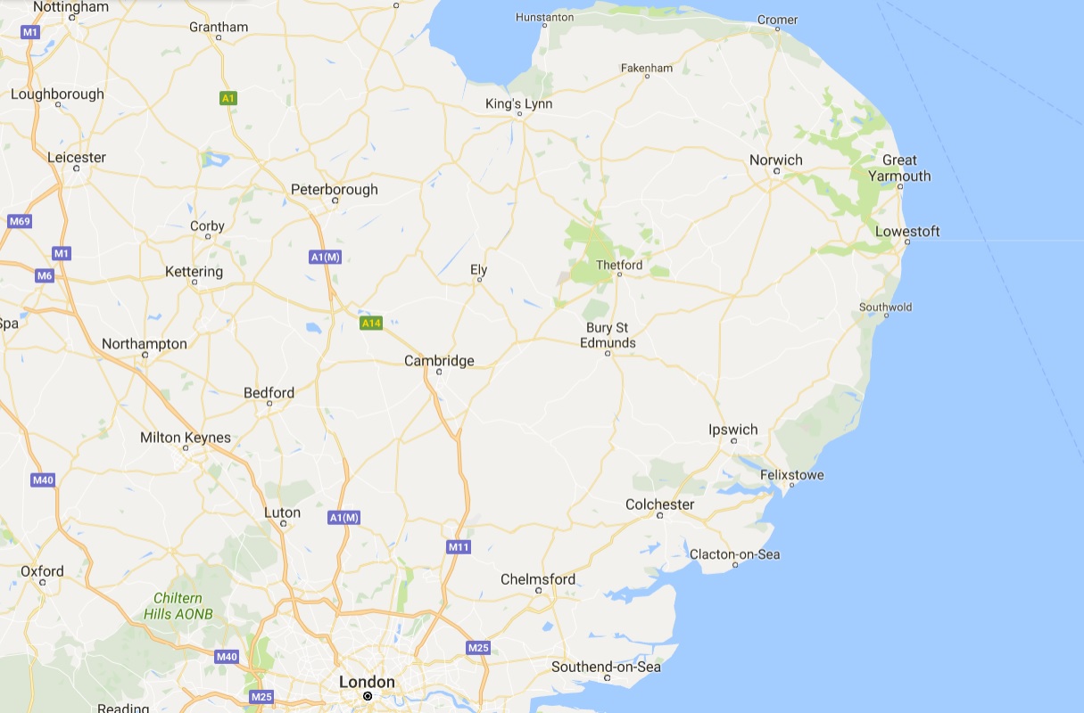 The 60 dead cattle were found on a farm in East Anglia
