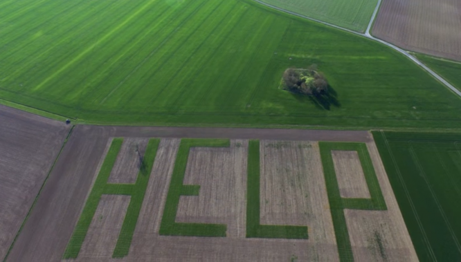 French farmer spells out plea for help in fields with letter 42m high 