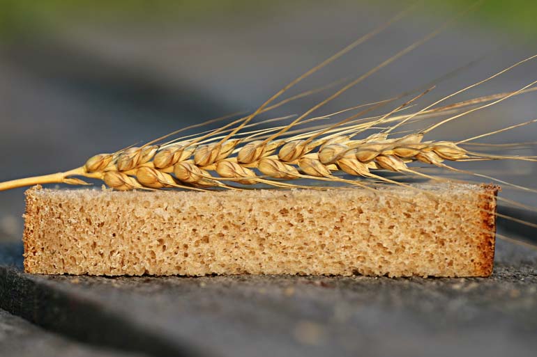 UK, Australian and European scientists' global wheat genome breakthrough