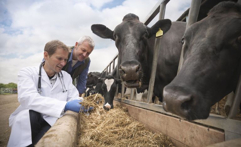 The Pirbright Institute announced has secured £77.3 million to help tackle livestock diseases