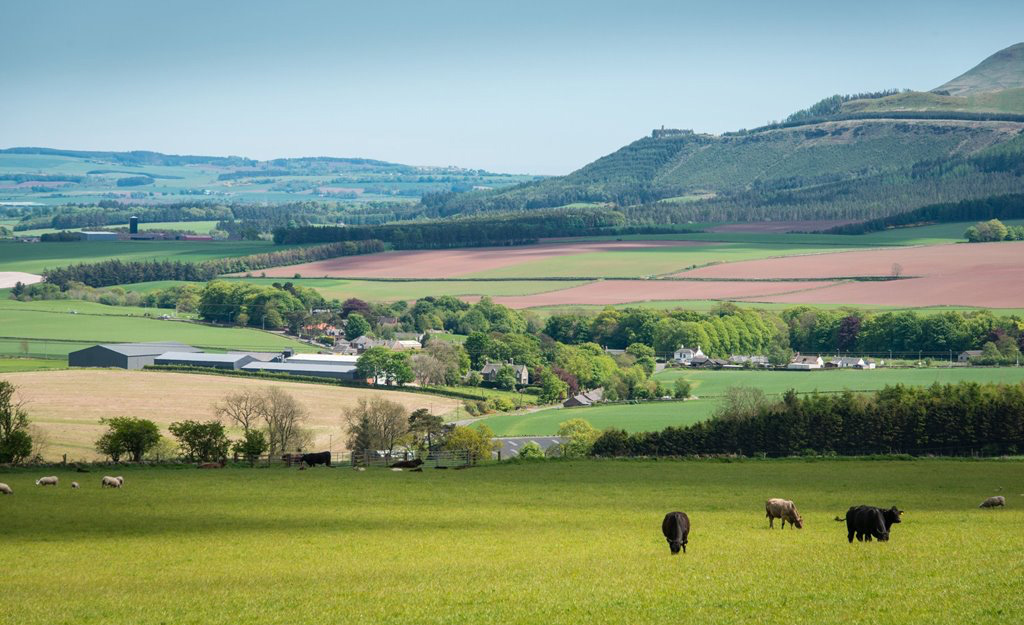 The average price of arable farmland sold in the first quarter of 2017 was £9,800/acre