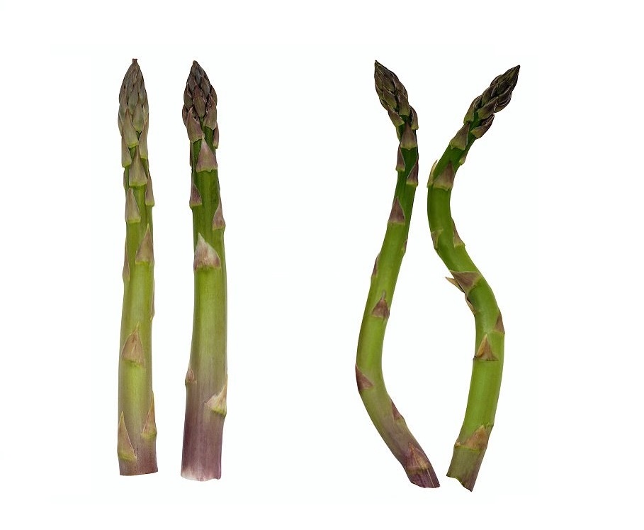 Asparagus normally grows straight, but due to a warm start to spring they’ve grown wonky
