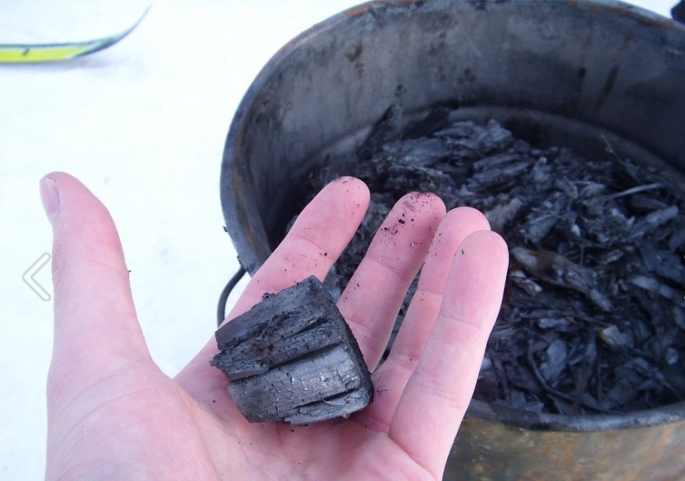 Biochar is charcoal used as a soil amendment (Photo: K.salo.85)