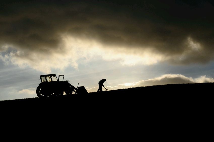 Despite relative stability, the agricultural industry is still experiencing volatility