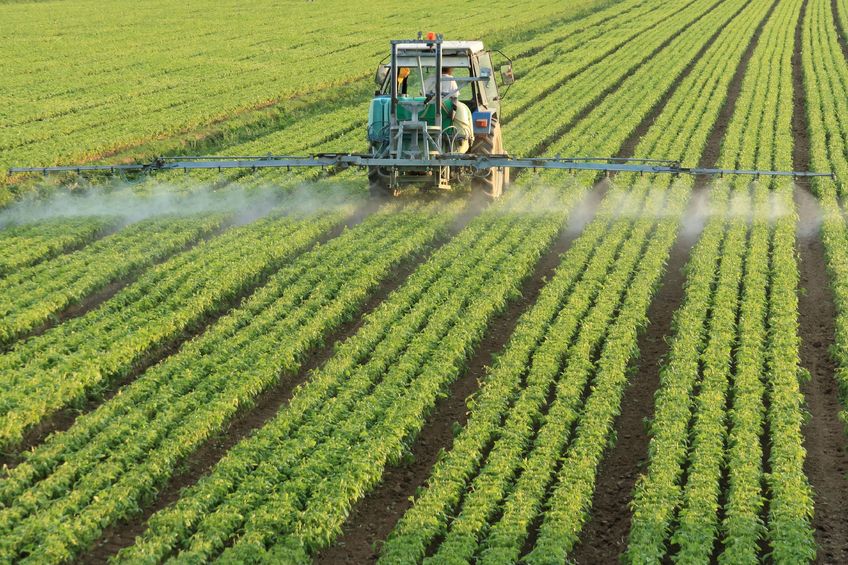 Glyphosate is an active substance widely used in herbicides