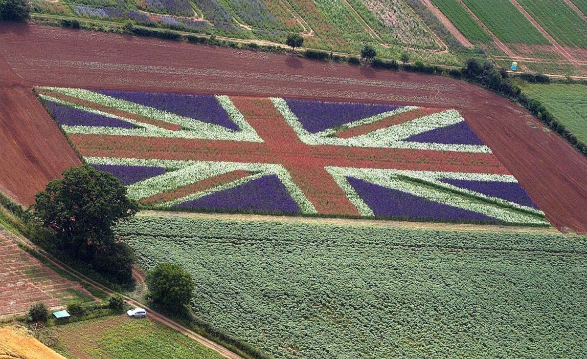 The NFU says it has five key policy challenges for British farming