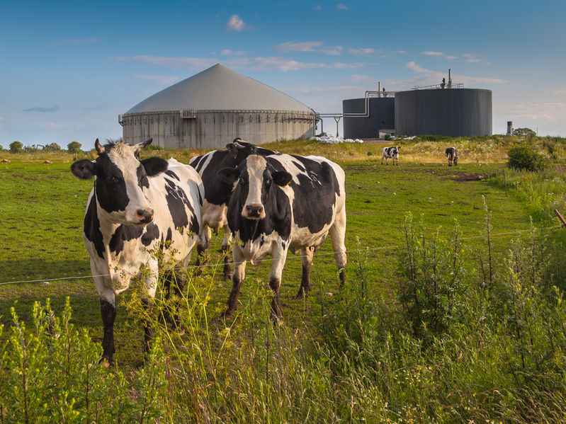 A typical anaerobic digestion plant on-farm