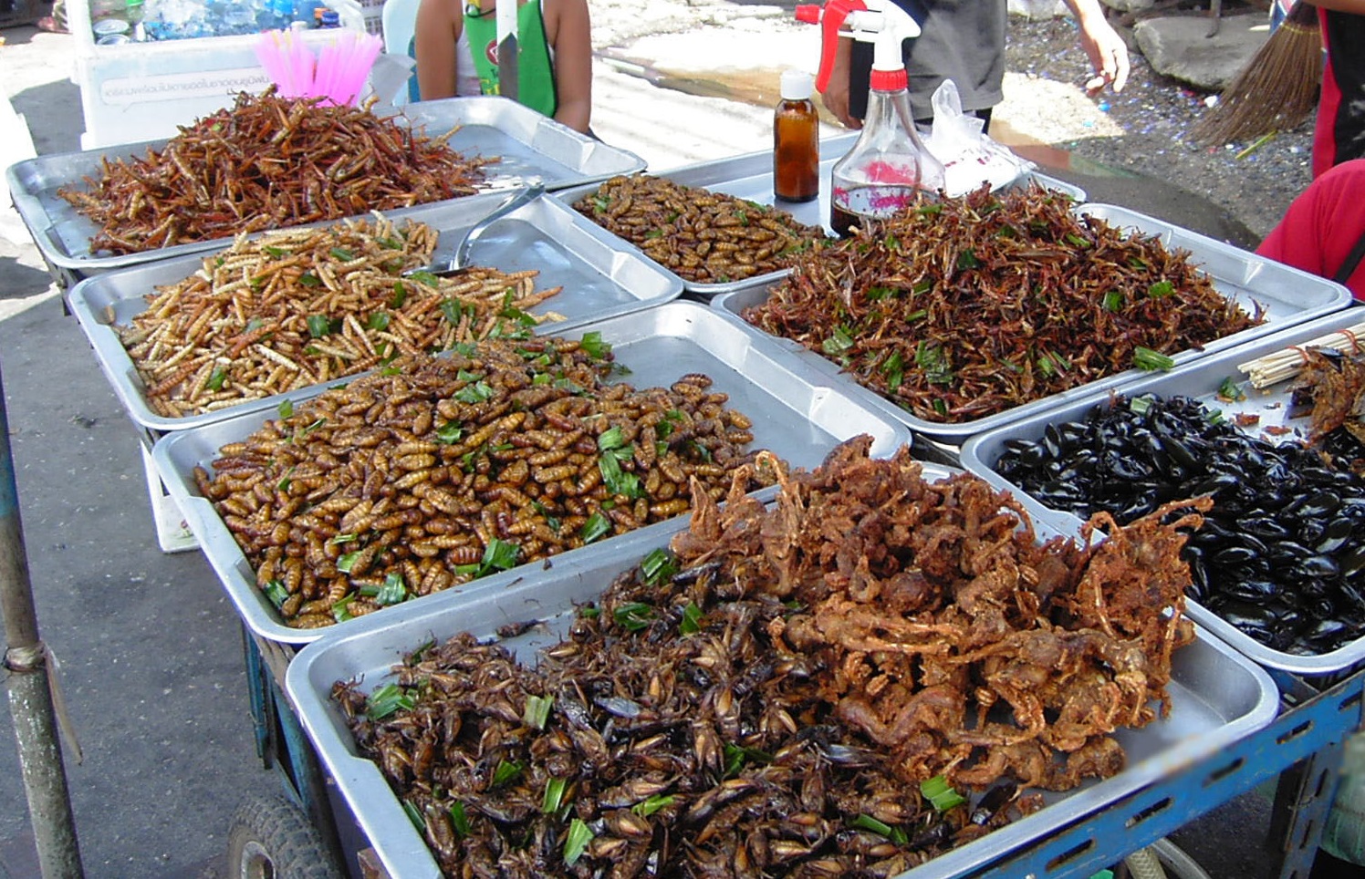 The scientists said that halving consumption of animal products by eating more insects would free up 1680m ha of land