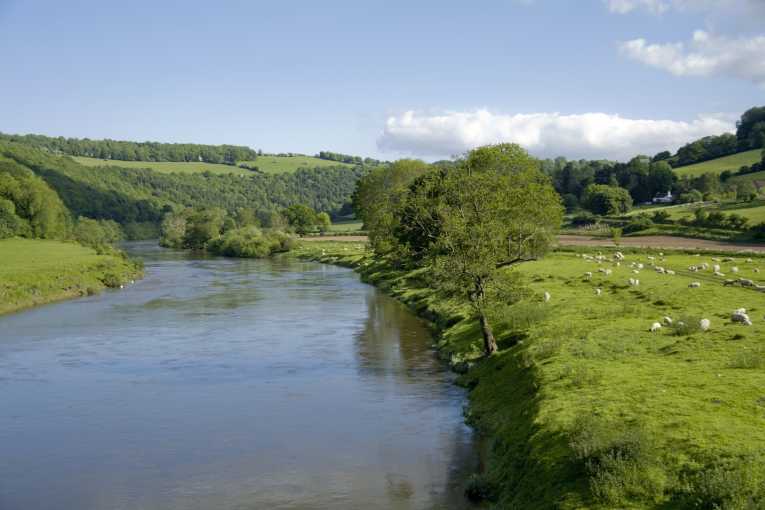 The Wensum is recognised as one of the most important chalk river habitats in the UK