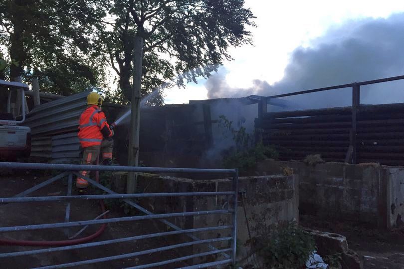 No animal was hurt in the suspected arson attack (Photo: GMFRS)