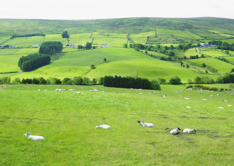 The Sperrin mountains is one of the largest upland areas on the island of Ireland (Photo: Richard Semik)