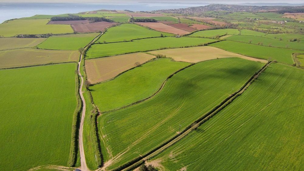 Rare opportunity to bid for East Devon farm tenancy for the first time in 20 years