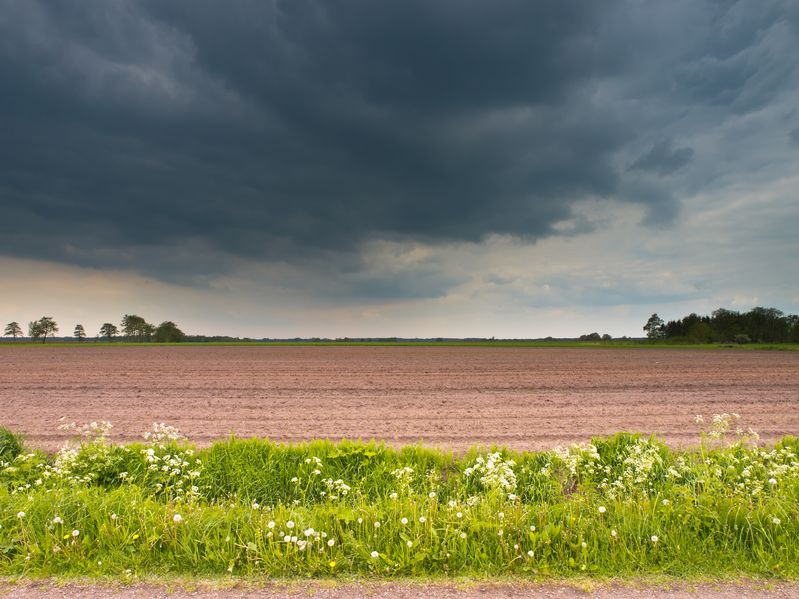 The extreme rainfall is forecast across a large part of the UK on tomorrow