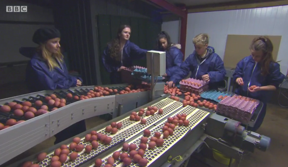 The machines were slowed down to help and they managed to gather 2,300 of their target 5,000 eggs