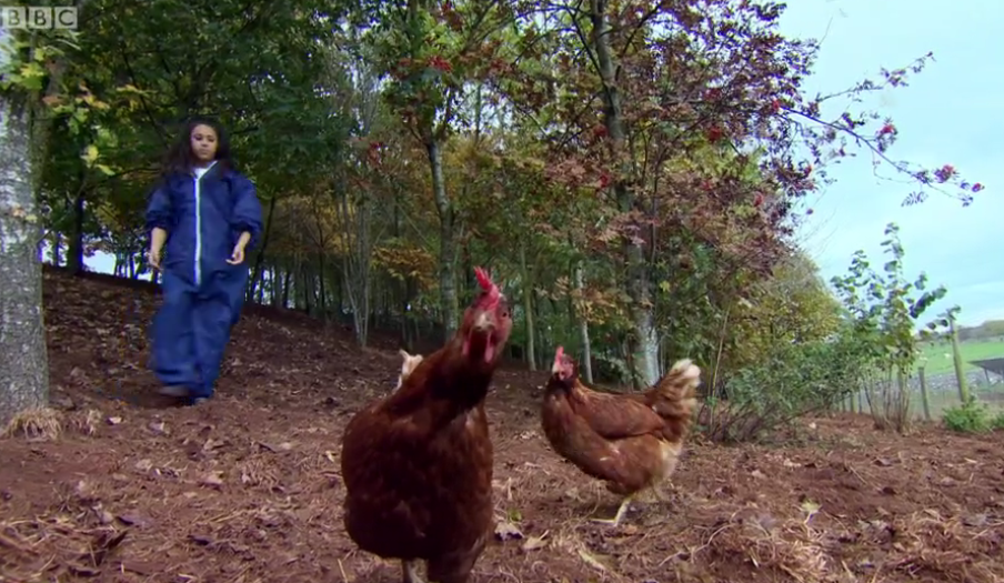 "We were pleased to be able to highlight free range egg production to such a young audience"
