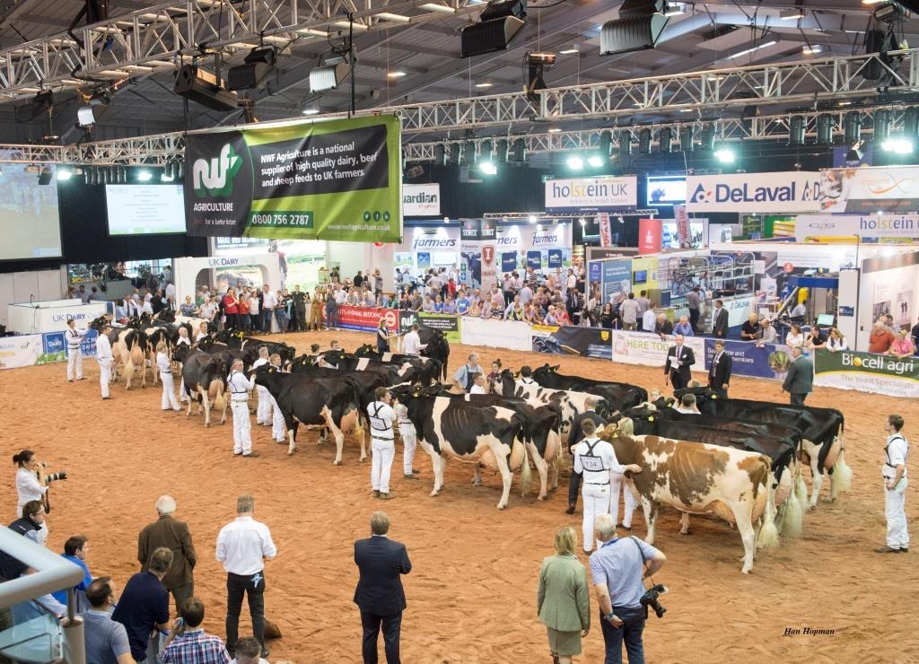 (Photo: UK Dairy Day Cattle Show 2016)