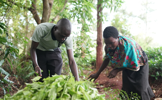 The supermarket aims to give greater support to its farmers and suppliers (Photo: Sainsbury's)