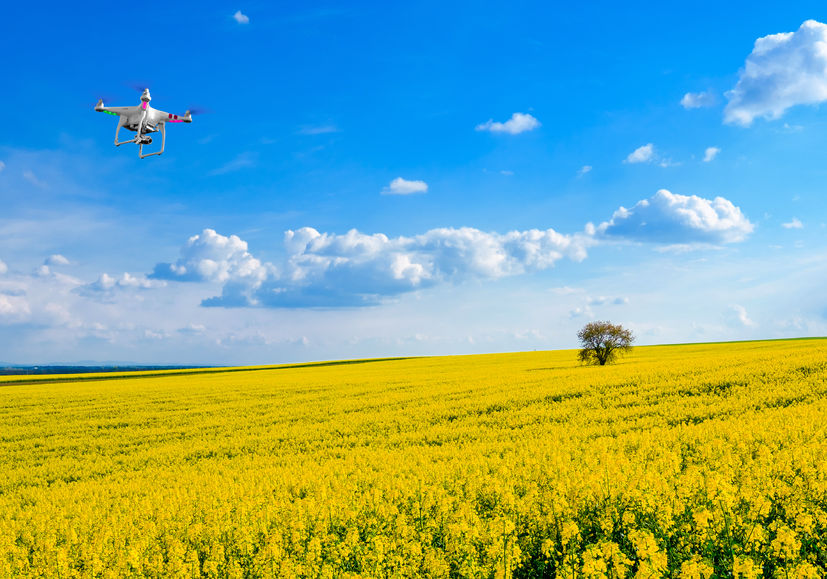 Agricultural robots will help bring data into one of the least digitised major industries