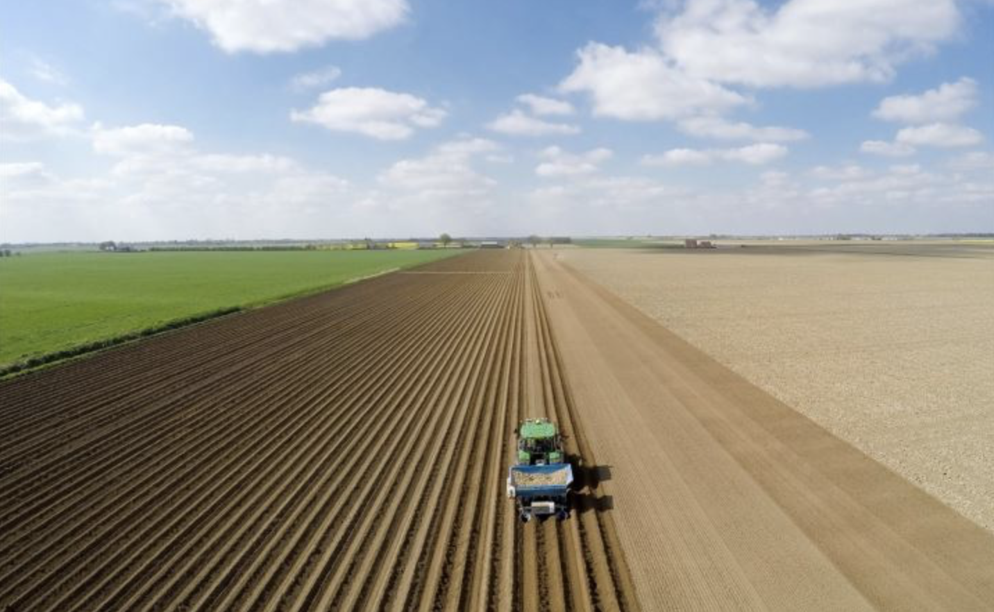 Bishops & Trader Bridge Farm and Wydale Farm in Sibsey near Boston extend to approximately 986.89 acres in total