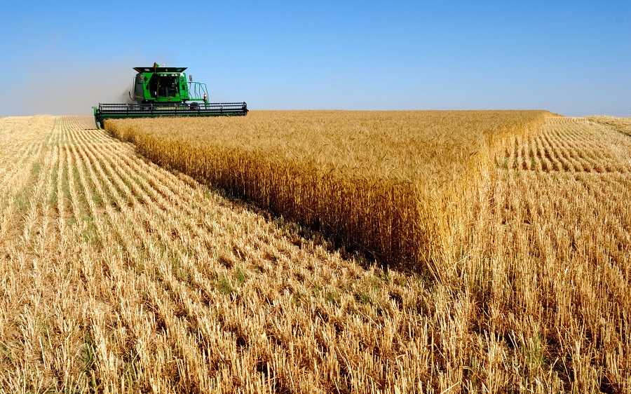 Harvesting on a diversified UK farm