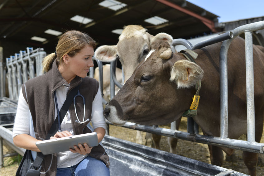 The manifesto highlights what is needed for the UK to secure a future as a 'global centre of excellence' for animal medicines