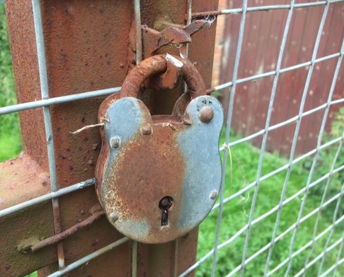 (Photo: Bill Quay Farm)