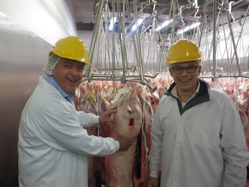 Dutch chefs enjoy the ‘English lamb experience’