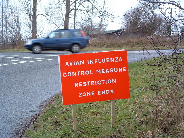 Avian flu confirmed at a farm near Diss, South Norfolk (Credit: Keith Evans)