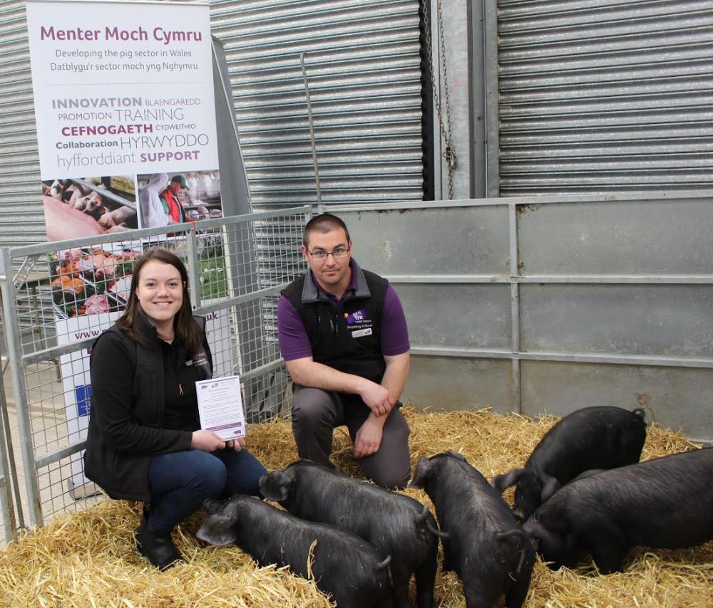 Melanie Cargill, Menter Moch Cymru & Arwel Jones, Wales YFC Chair launching the new pig finishing competition at the RWAS Spring Festival