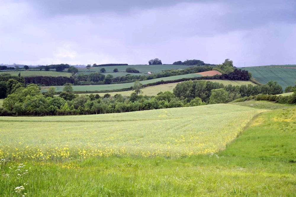 The research farm was established in 1992 by the Game & Wildlife Conservation Trust (GWCT)