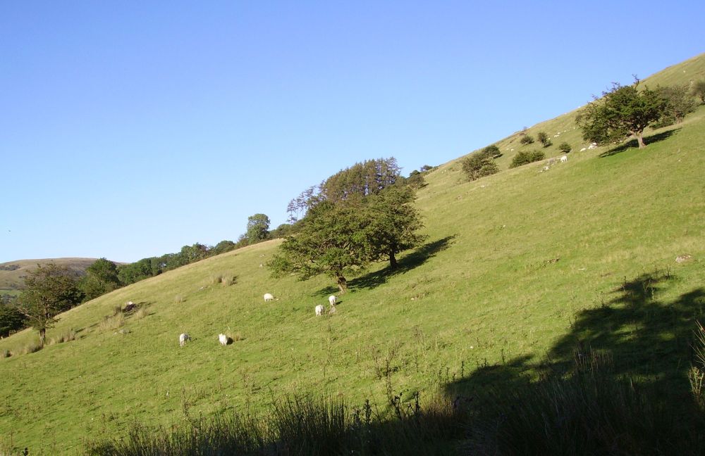 Agricultural land makes up by far the largest proportion of land area within the Brecon Beacons