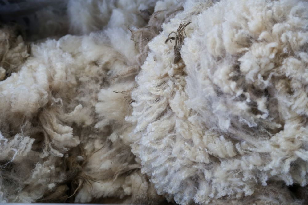 There are more than 60 different breeds of sheep in the United Kingdom - more than in any country
