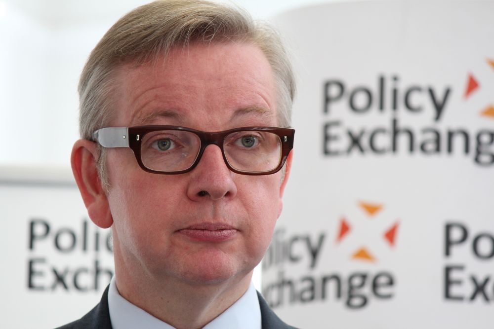 Michael Gove appointed environment secretary in cabinet reshuffle