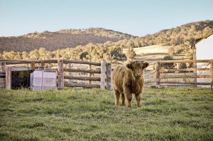 The UK could receive £11.4bn in agricultural subsidies and aid for poorer regions