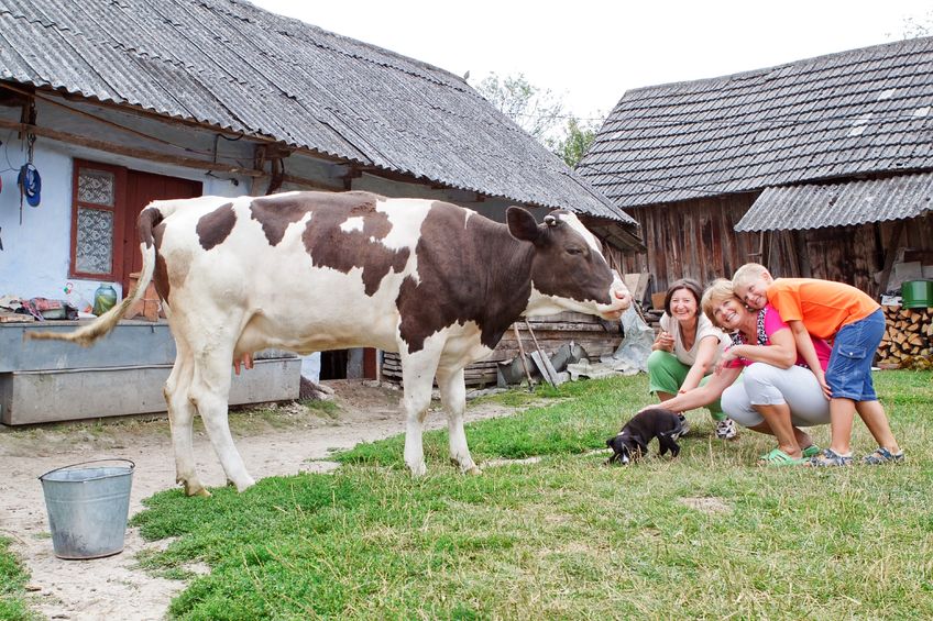 Farms offer educational opportunities for children