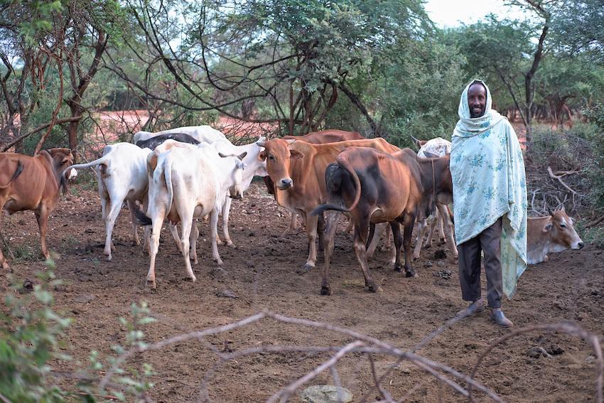 Farm Africa helps by giving livestock farmers the advice and access to co-ops to acquire the products and equipment they need