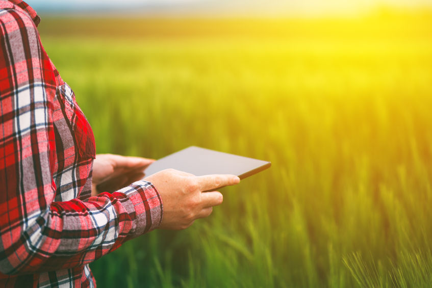 The report says technology needs to be put at the heart of agriculture to boost productivity