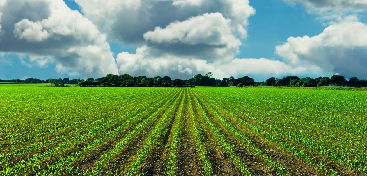 LEAF Marque survey asked what farmers thought of the certification system