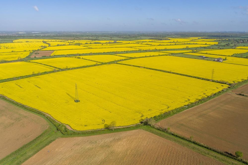 The sale of Glebe Farm 