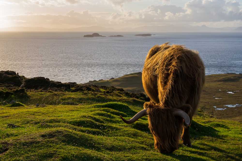 Typically Scottish... (Photo: Raphael Hofmann)
