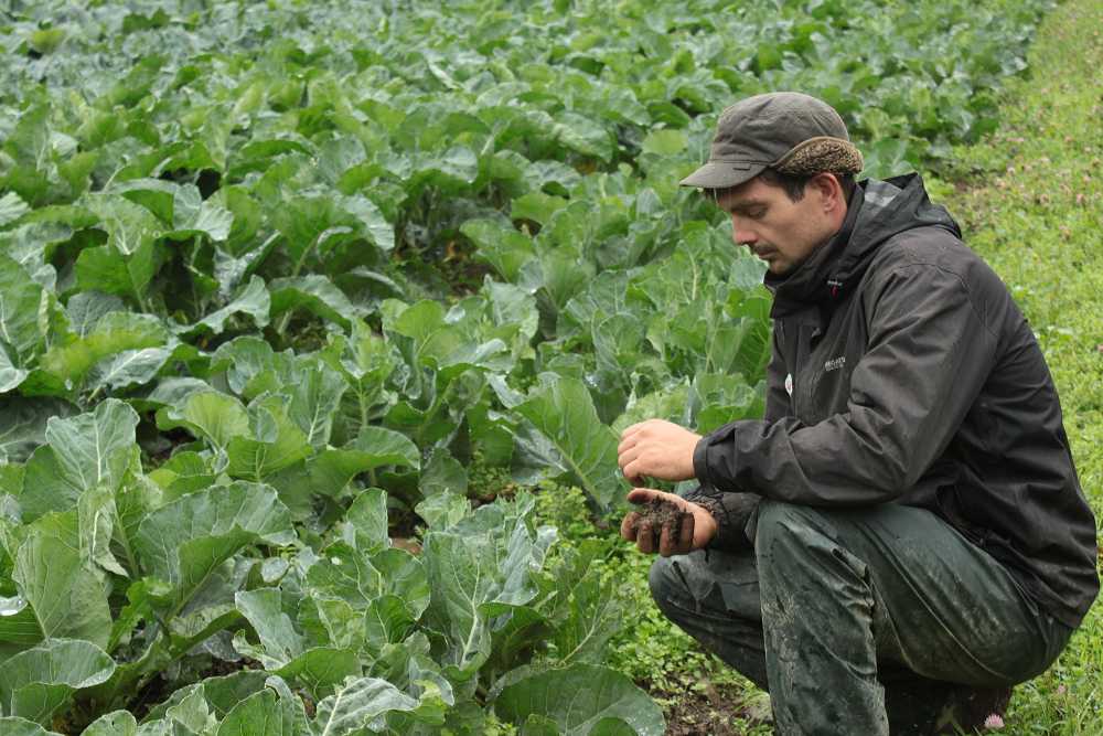 The report calls for a more 'just and stable' agricultural policy for England