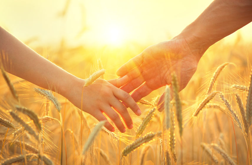 The programme will focus on a group who are struggling to find a partner with whom to share their rural lives