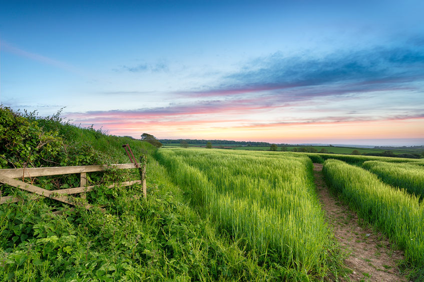 The scheme offers farmers to look after the environment through activities such as conserving and restoring wildlife habitats
