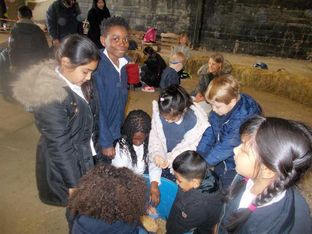 25,000 disadvantaged primary school children from London have visited the countryside to learn more about food and farming